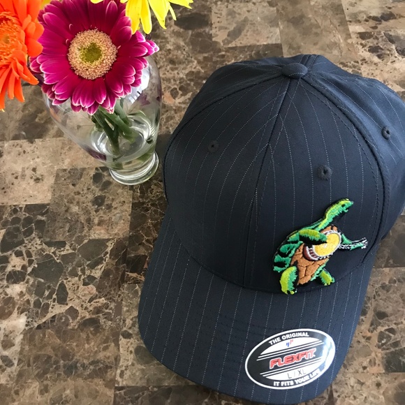 Grateful Dead Other - Grateful Dead ⚡️Terrapin Banjo Turtle Hat